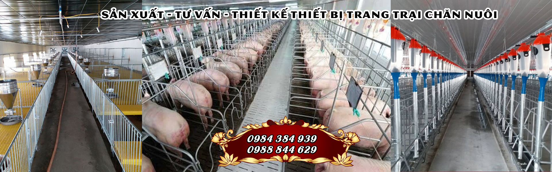 Thiết bị chăn nuôi heo tại Nghệ An