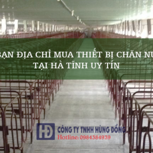 Mách bạn địa chỉ mua thiết bị chăn nuôi lợn tại Hà Tĩnh uy tín
