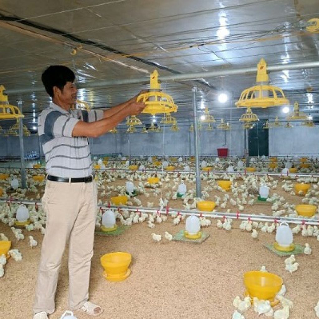 CÔNG TY TNHH HÙNG ĐỒNG